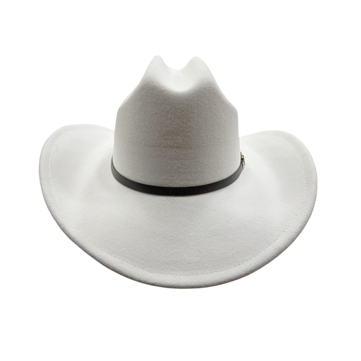Sombrero Fuerza Regida Edition