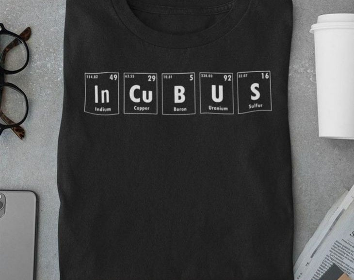 Camiseta Incubus